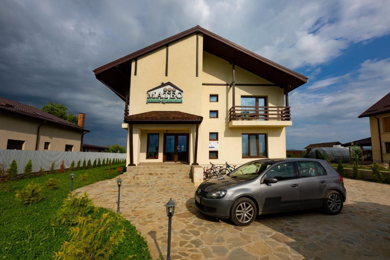 Pensiunea Mateo Buzău Exterior photo